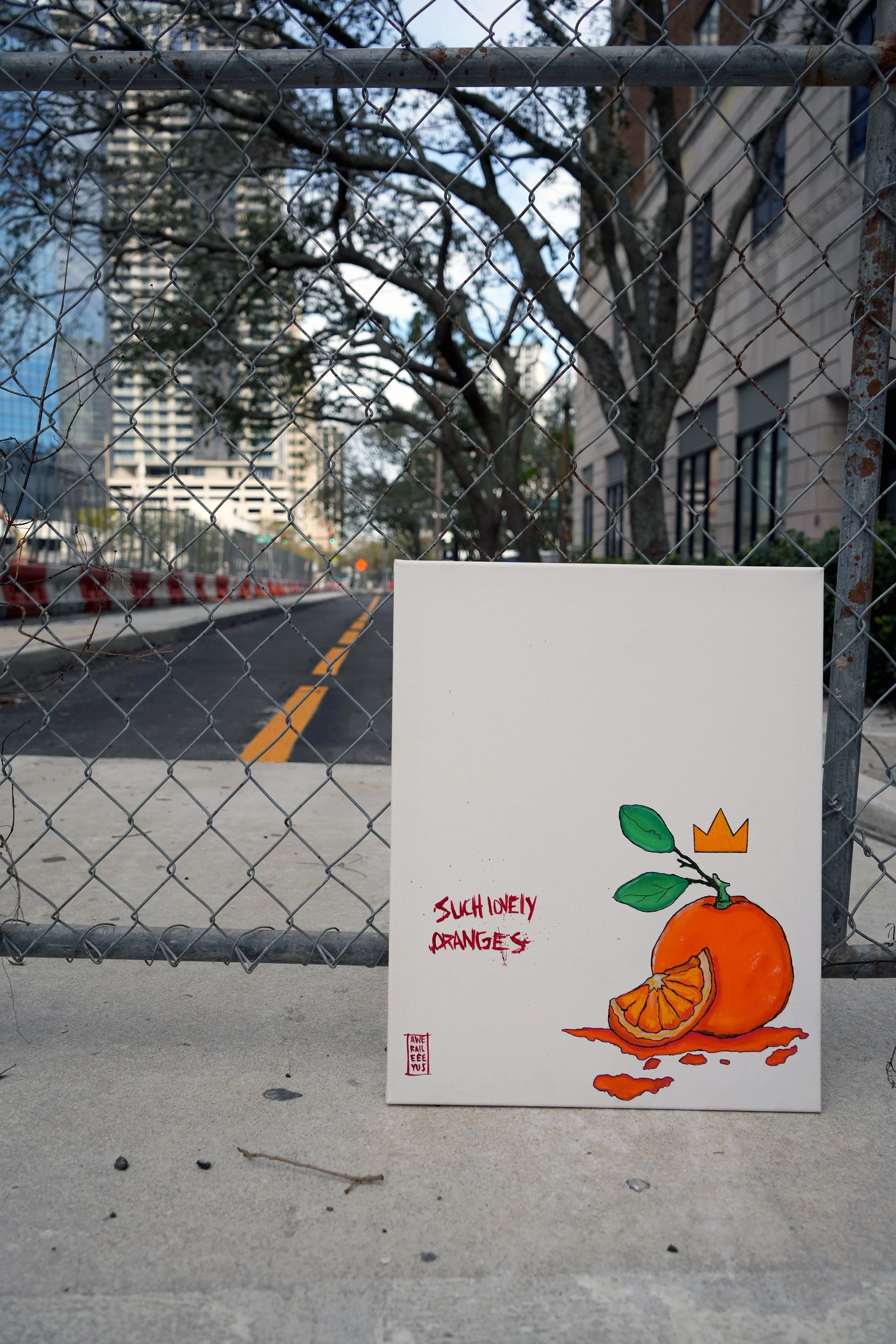 ORANGES2.jpg