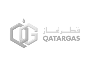 logo_cust_QatarGas.png