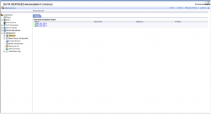 DS Management console