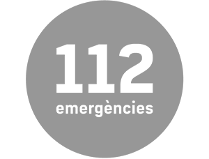 Top_Europe_Services_CAT112_grey.png