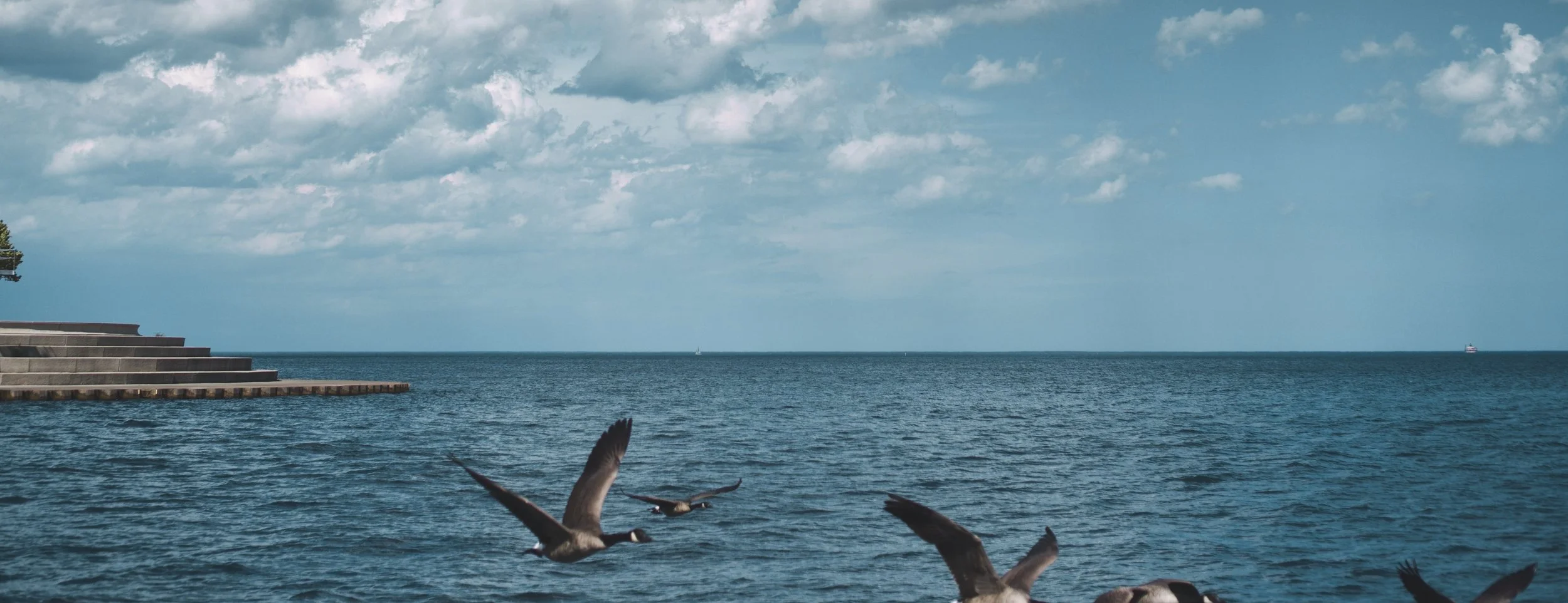 Customer success story - migration to the latest and greatest version of SAP BI Platform