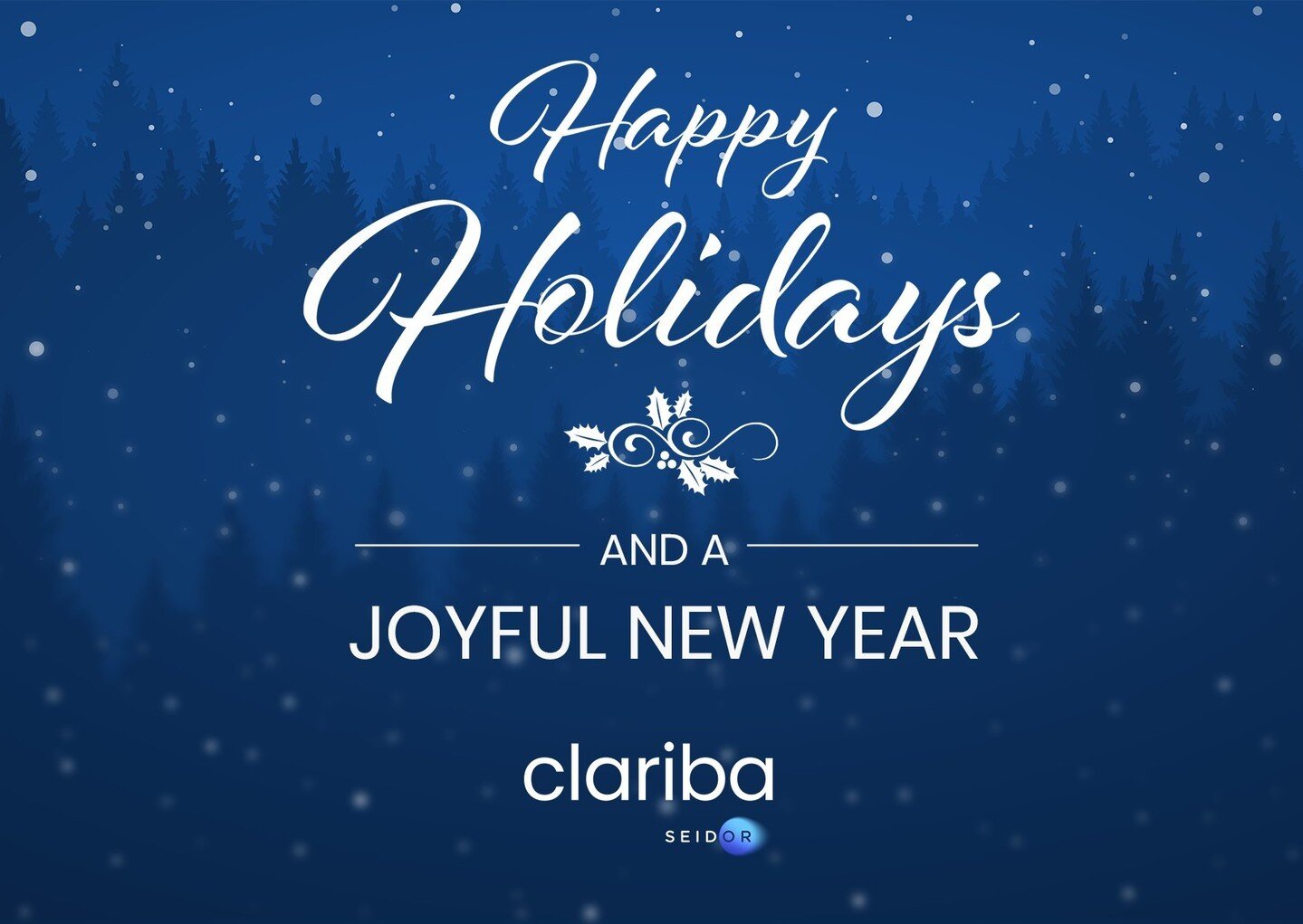 As the year comes to a close and everyone prepares to enjoy the holiday season, the Clariba SEIDOR Team would like to take this opportunity to send our warmest greetings to you. We wish you and your loved ones a very Happy Holiday season filled with 
