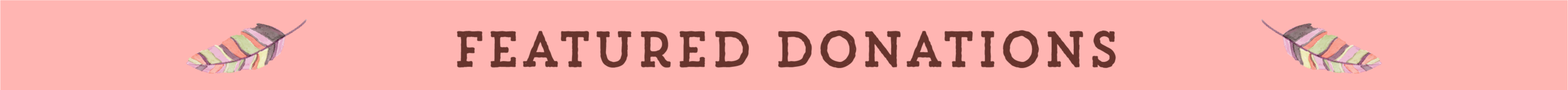 Featured Donations.png