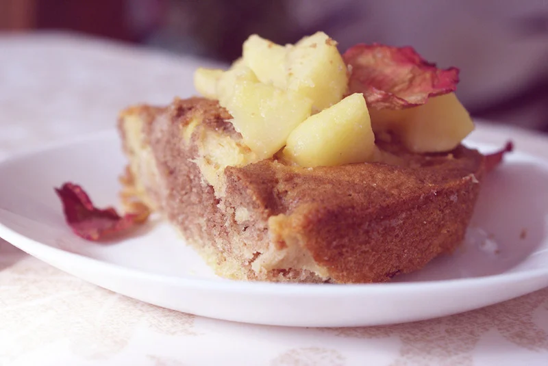 Moelleux Aux Pommes Marbre A La Cannelle Sans Gluten Sans Lait Mademoiselle Senza Glutine