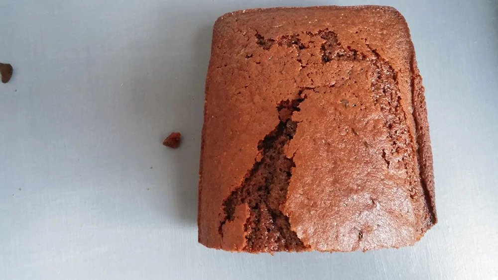 Cake Au Cacao Et Sucre De Coco Sans Gluten Sans Lactose Mademoiselle Senza Glutine