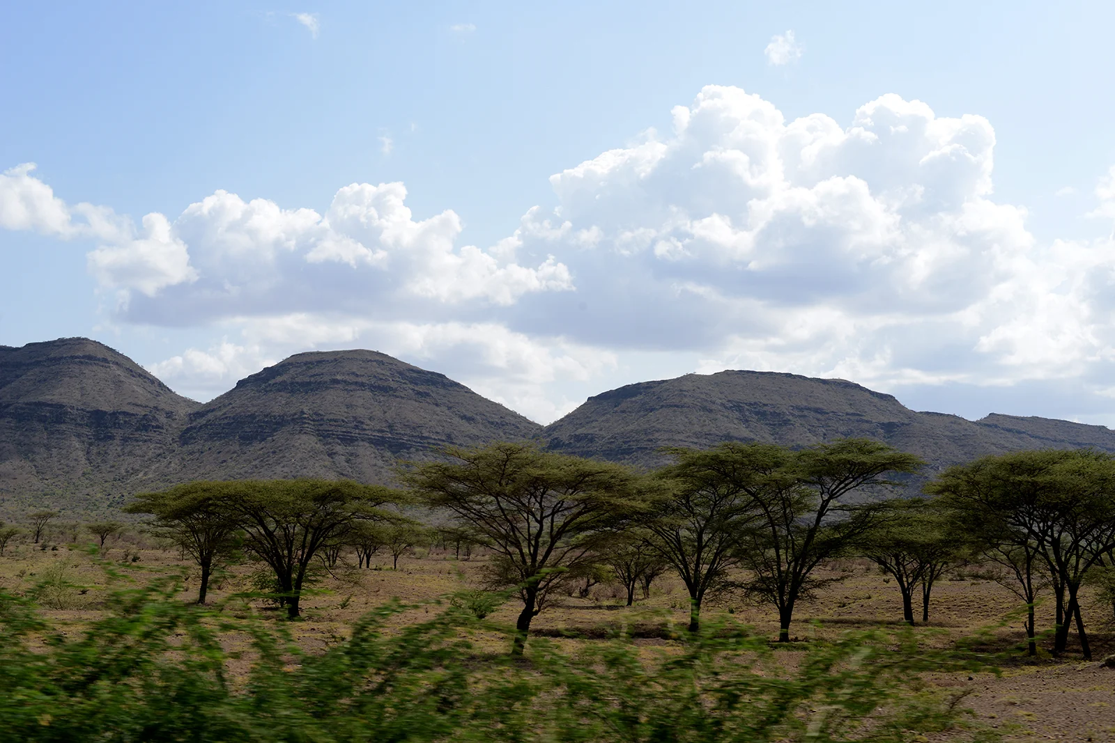 turkana16b.jpg