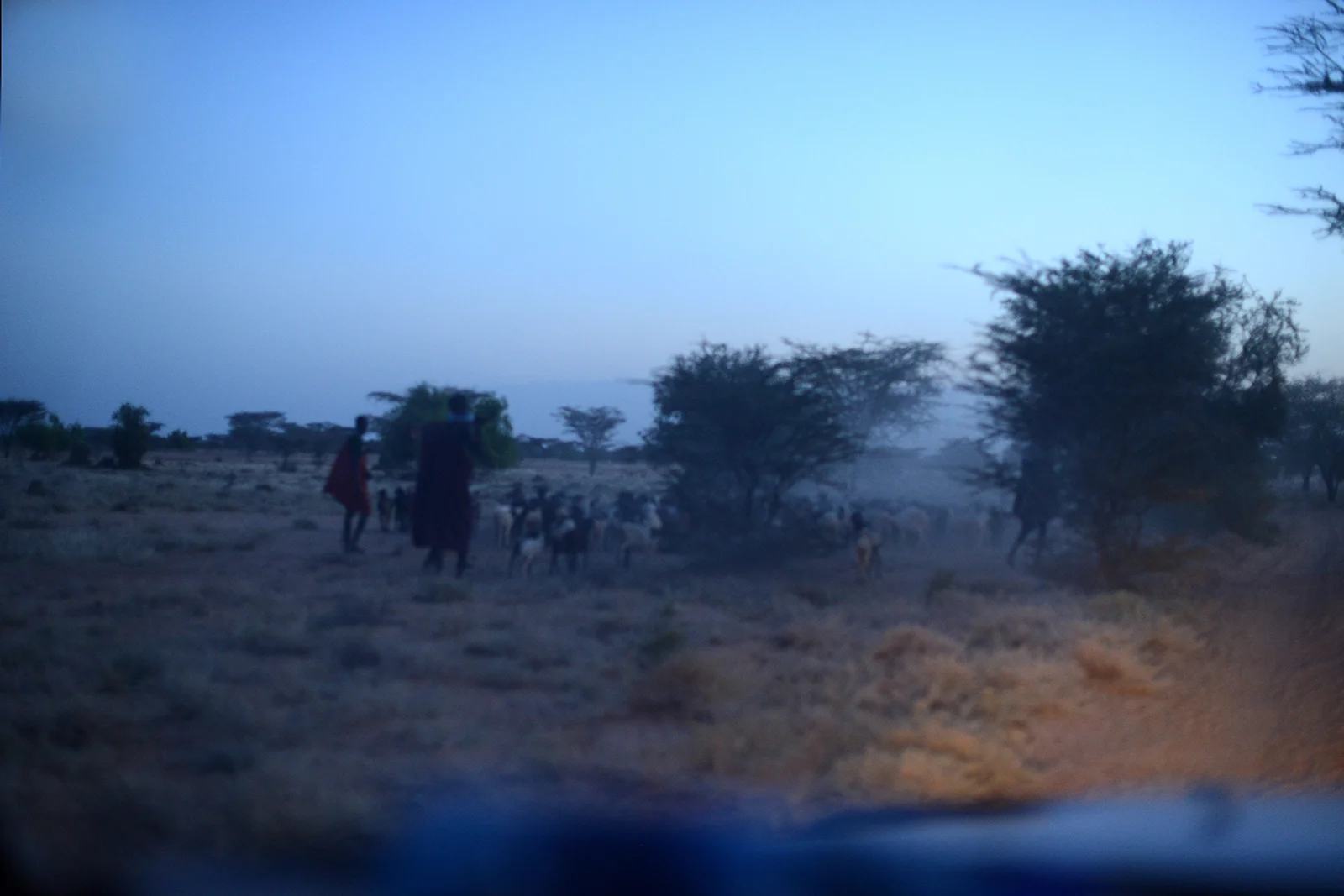 turkana29b.jpg