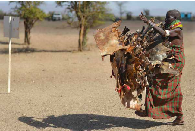 A Turkana woman carries hides skinned from goats he has lost to a biting drought that has ravaged livestock population in nothern Kenya near Lokitaung in Turkana county on March 20, 2017. PHOTO | AFP