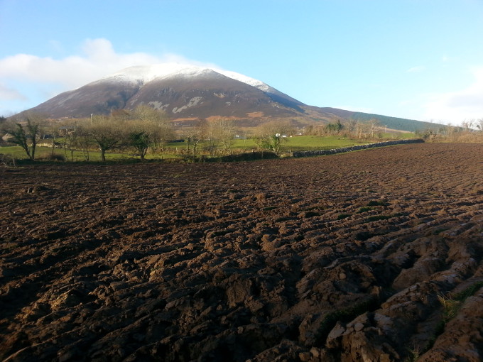 Fields in the shadow of Nephin mountain are ploughed in early Spring, ready for Nephin Whiskey barley planting.