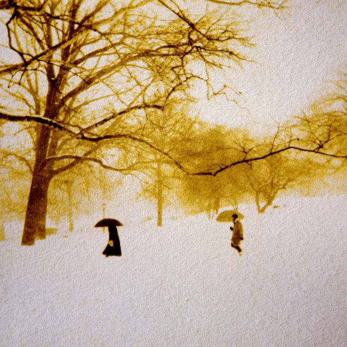 Central Park (gum bichromate over platinum/palladium) ©Diana H. Bloomfield