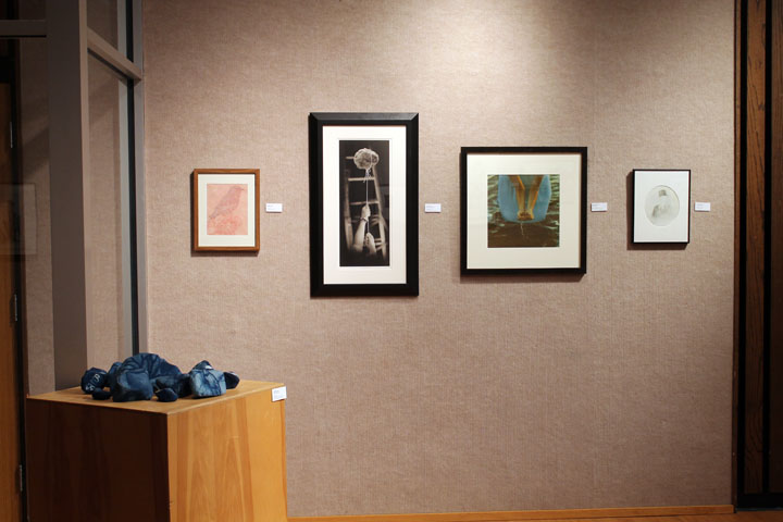 Gallery Installation ©Adam Finkelston 2015