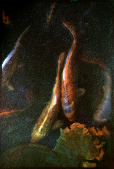 Image & tri-color gum print by © Janet Boschker 2015