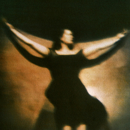 ©Diana H. Bloomfield