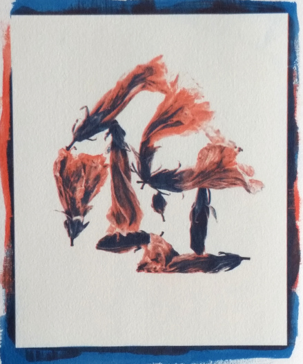 Hibiscus , ©Tom Moore 2016 (gum bichromate print, 2 layers)
