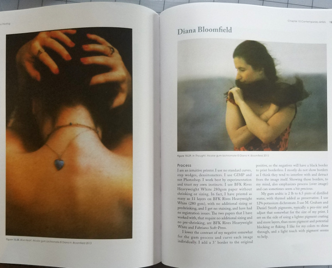 Images ©Diana H. Bloomfield 2016; from Christina Z. Anderson's book (see above)