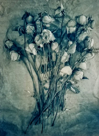 Roses ( Gum bichromate over cyanotype) 2018