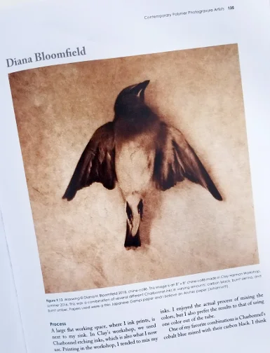 Waxwing_chinecolle_dhbloomfield.jpg