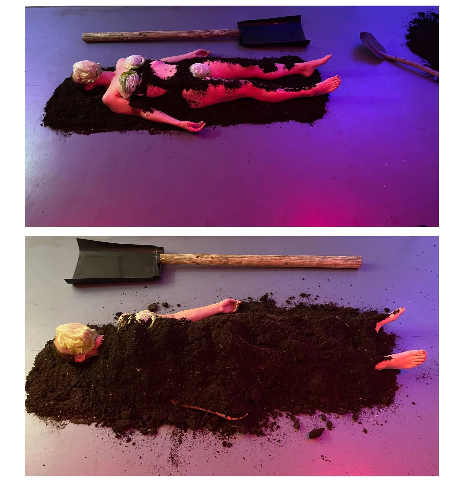 Harriet_Poznansky_Vertical _Farming_Performance_2023_Image .jpg