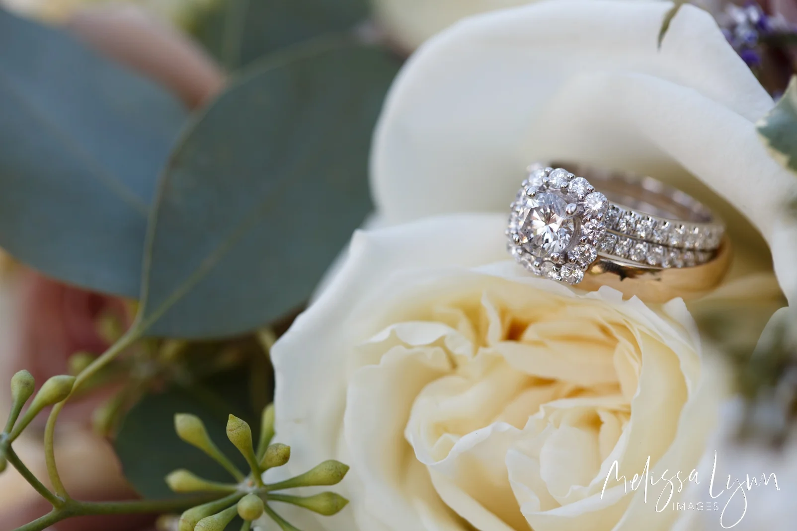 Melissalynnstudios_1036.jpg