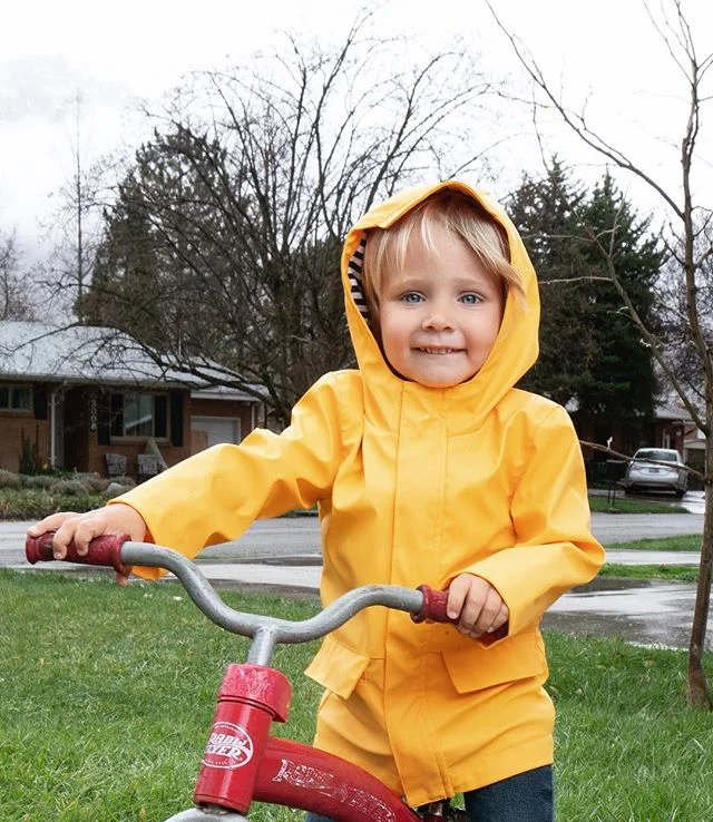 So, I figured out yesterday that our front window can be used as a giant scrim, that can illuminate quite a bit of our front yard with big soft light! 
#paulcbuff #digibees #manfrotto