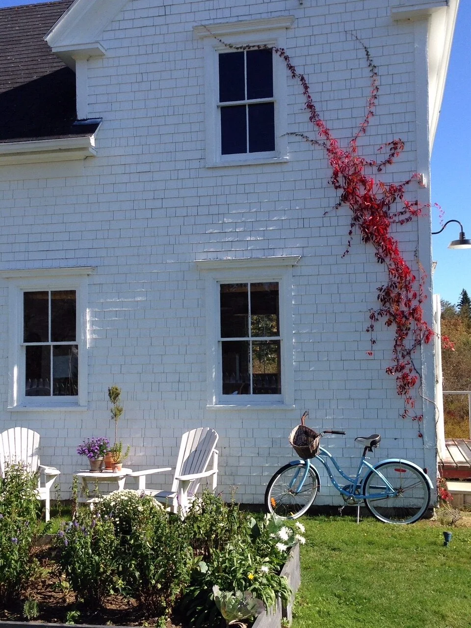 Our East Coast Barn Makeover & Potager Garden: Part 2 — CAROL REED ...
