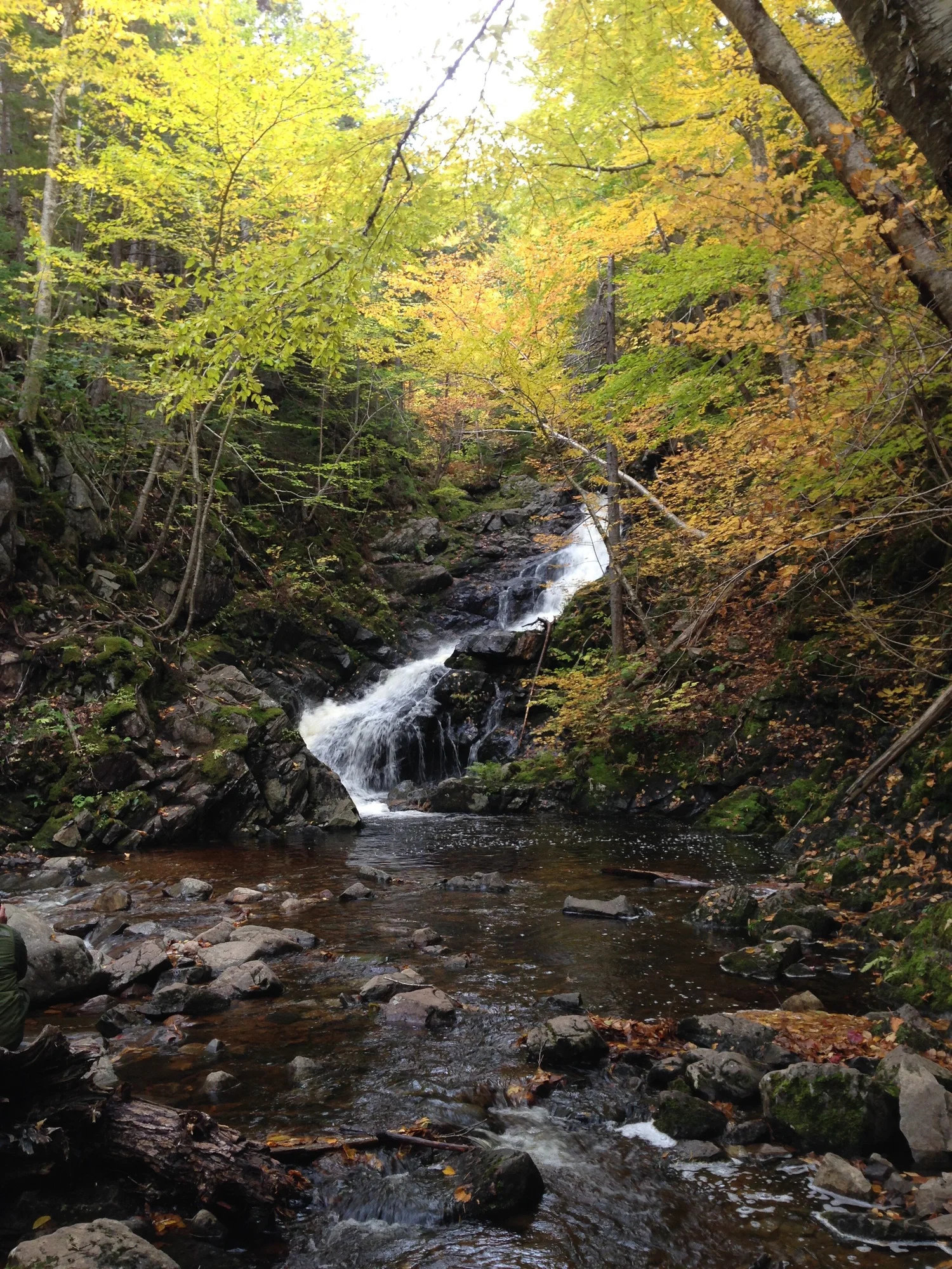 Cape Breton: Cabot Trail & Celtic Colours — CAROL REED INTERIOR DESIGN ...