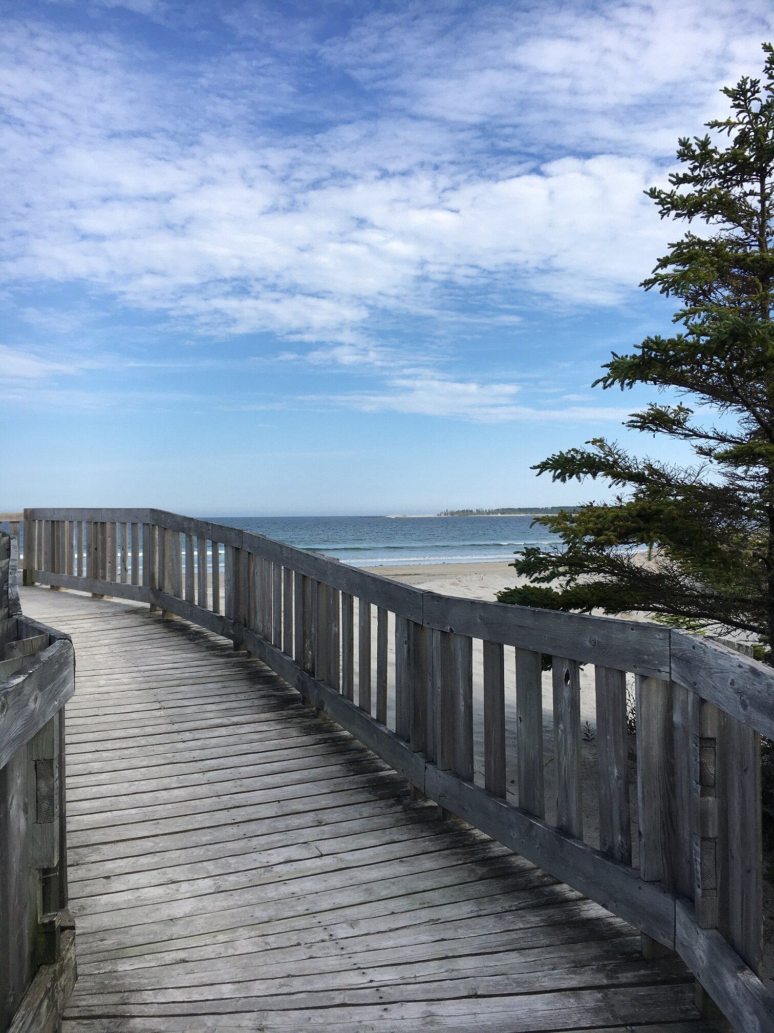 Then suddenly, it was Summer