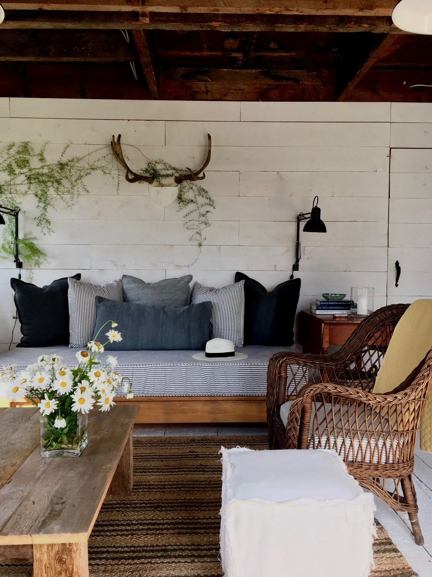 Subscriber Edition:  Summer 2023
