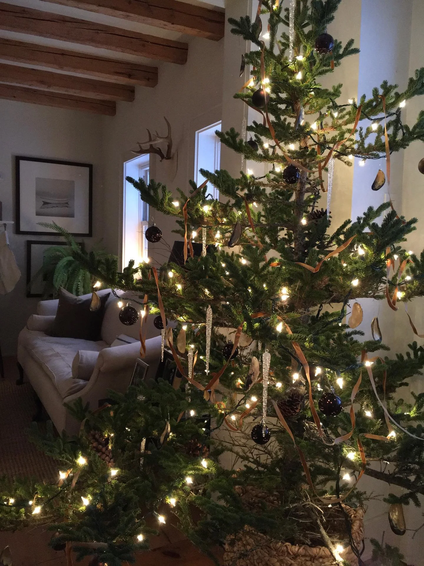 Merry Christmas! Wishing peace and joy to all. 🎄