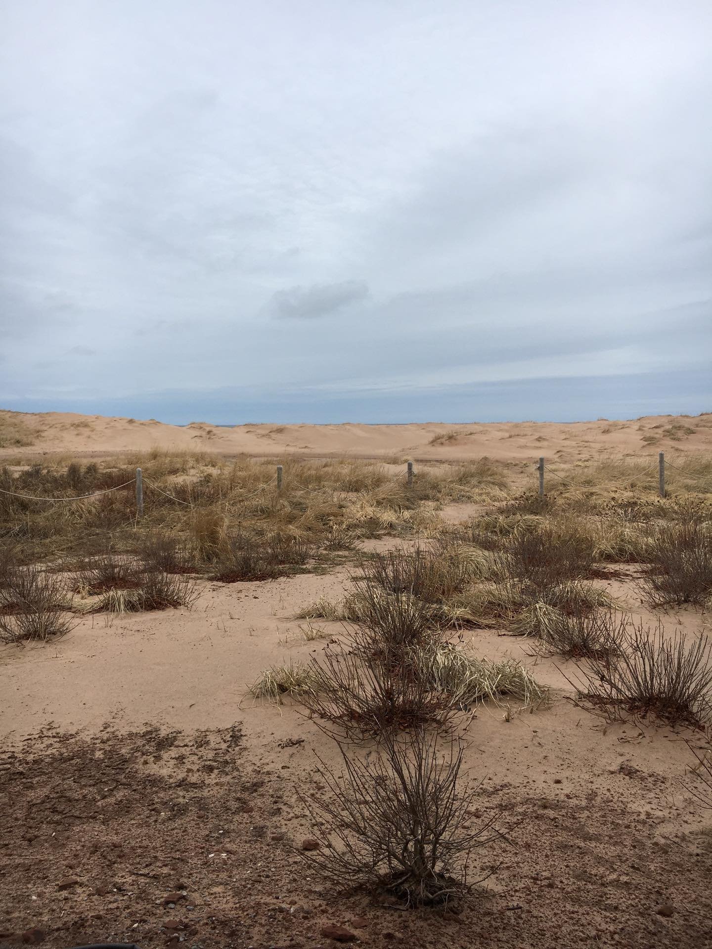 Site check at our newest project in PEI - standing at the kitchen door (pic 1 and 2) in awe of this setting and views. It&rsquo;s surreal.  How can I not call this The Dune House Project. #CRIDdunehouse #homedesign #interiordesign #homerenovation #be