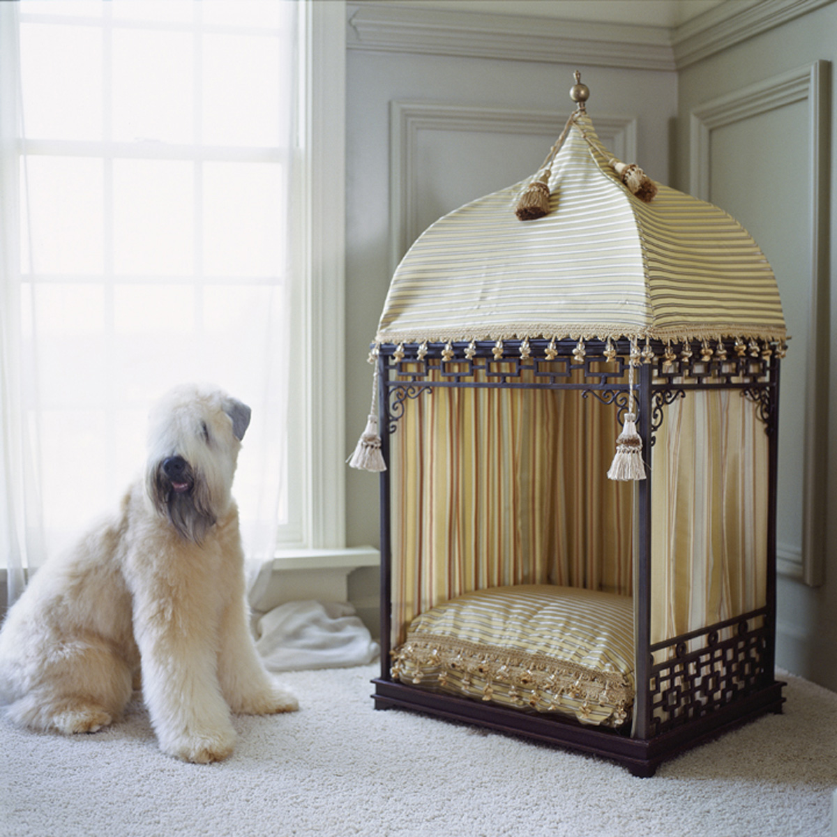 Custom Designed Dog Houses