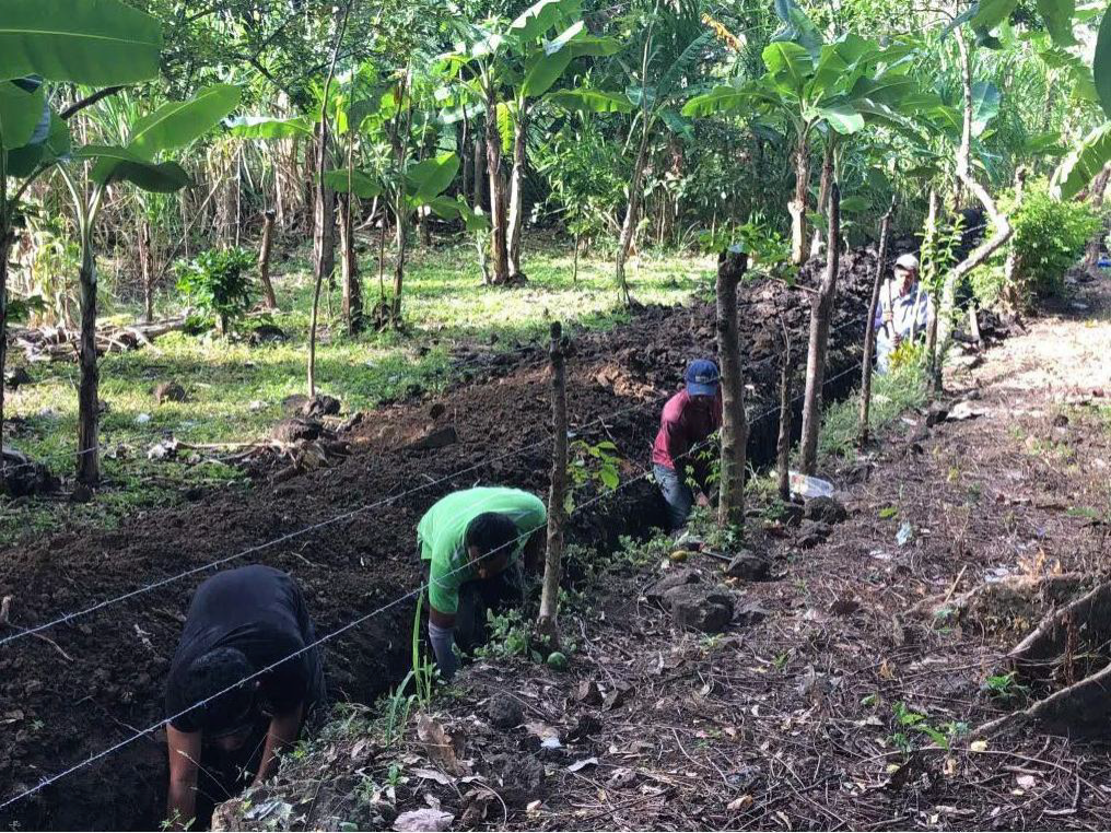 Checking Trenches