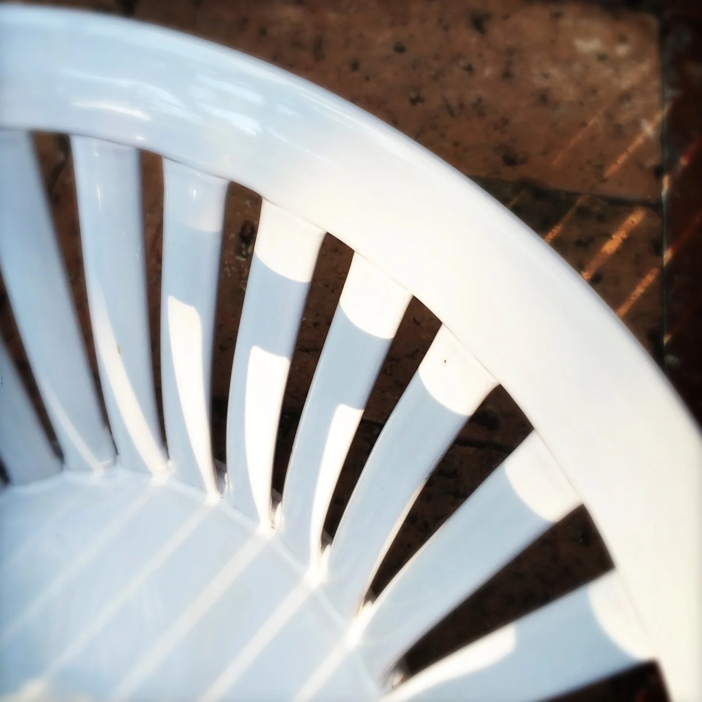 A Skål randig näris.JPG