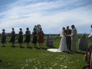 Have you considered having a wedding in a vineyard?