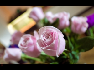 Tips for wedding flowers