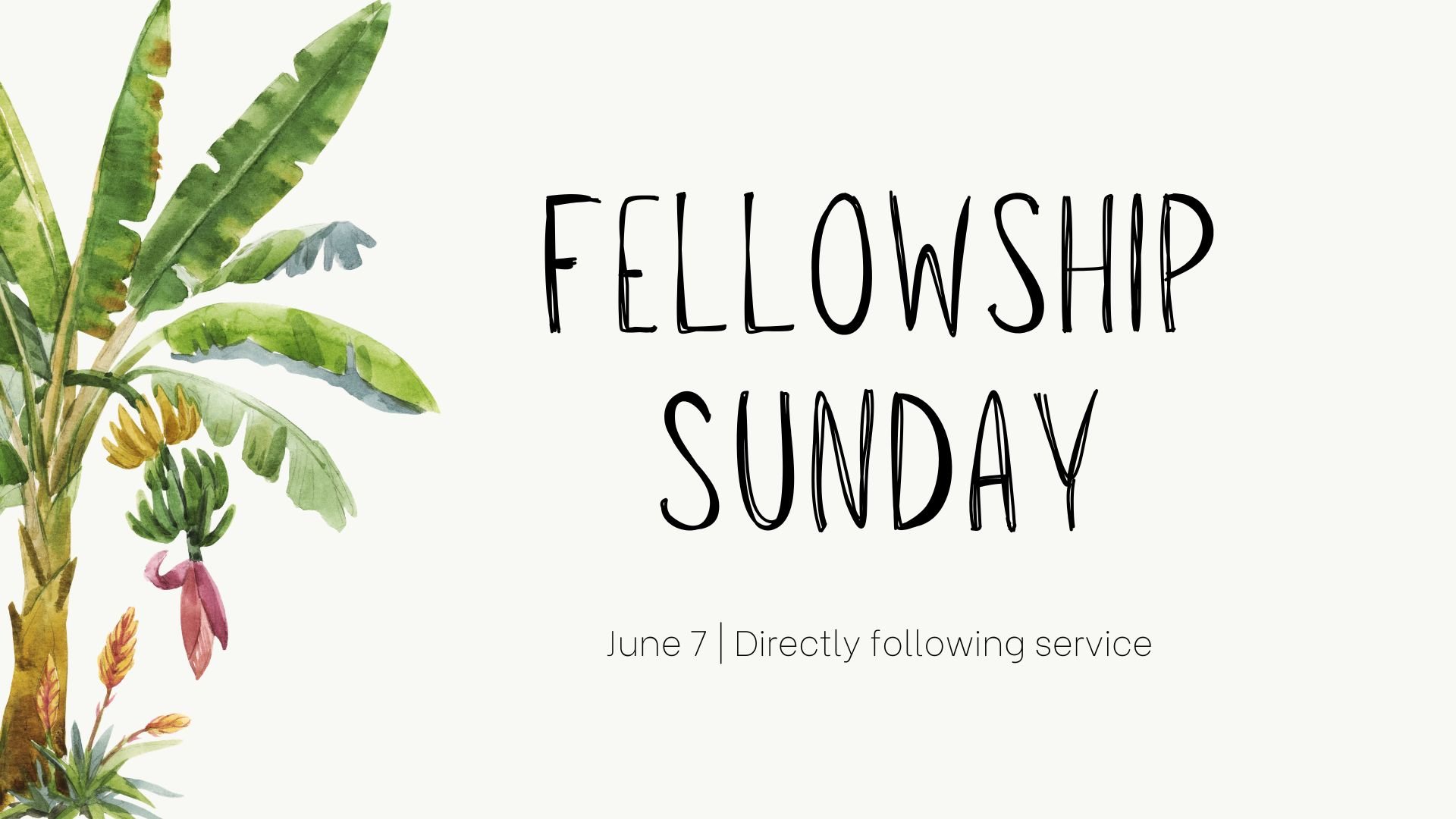 Fellowship Sunday