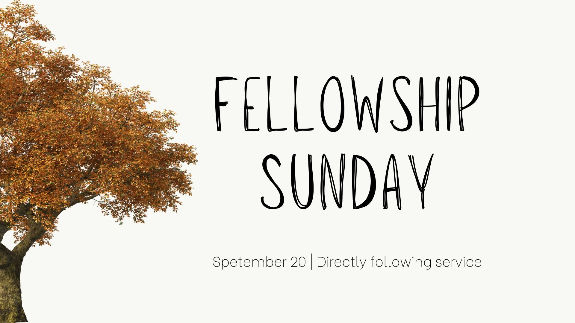 Fellowship Sunday
