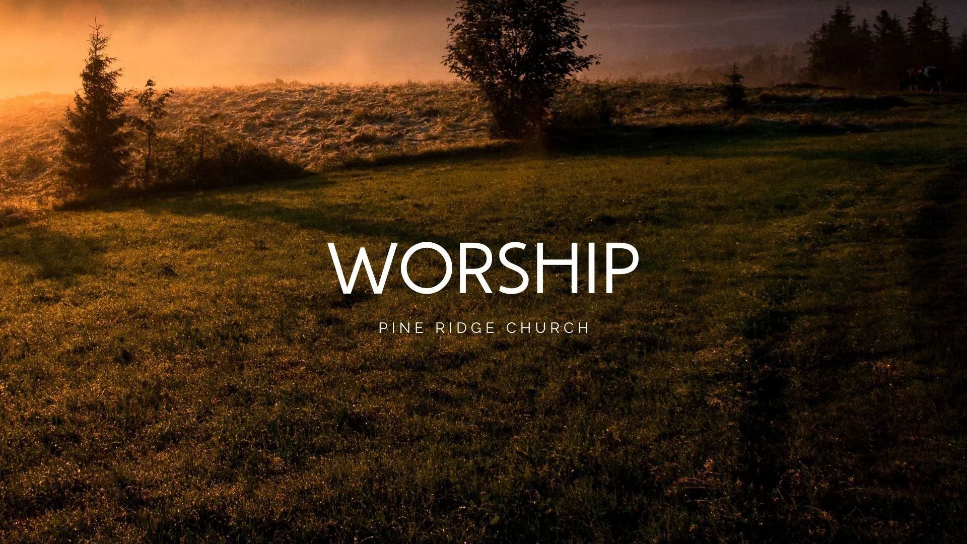 Pine Ridge Church PCA | Orlando, FL – Sermons