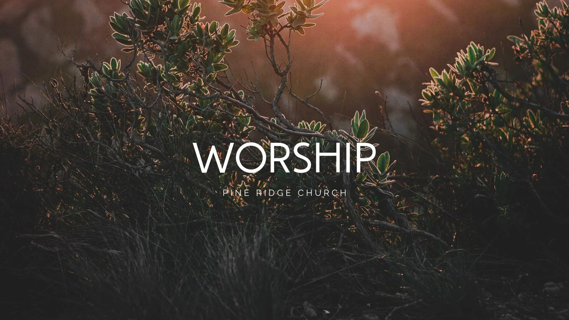 Pine Ridge Church PCA | Orlando, FL – Sermons-2022