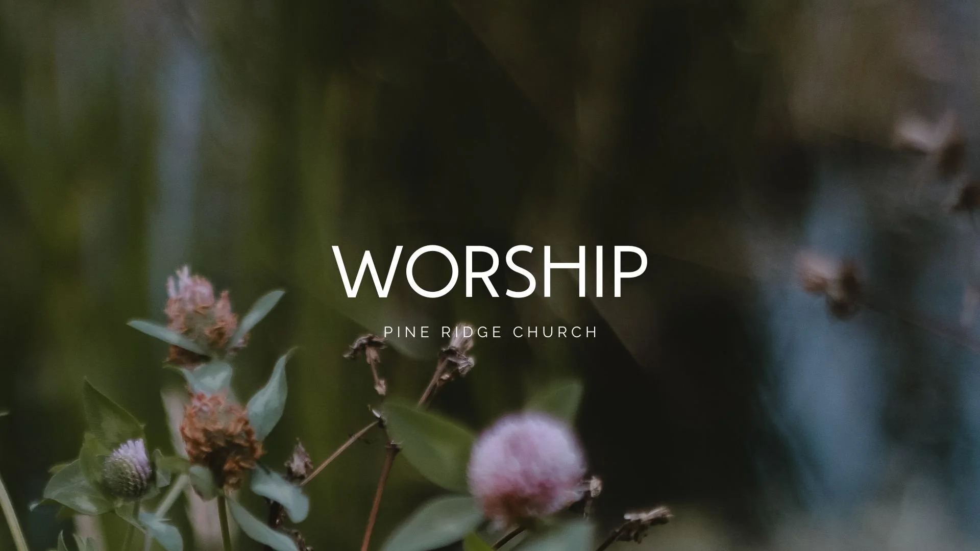Pine Ridge Church PCA | Orlando, FL – Sermons-2022