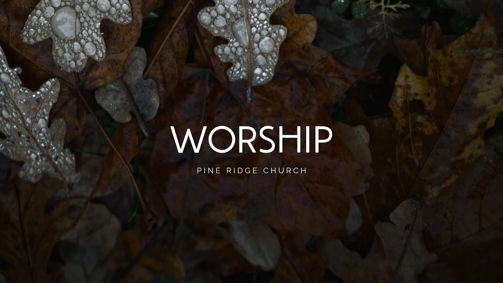 Pine Ridge Church PCA | Orlando, FL – Sermons-2022