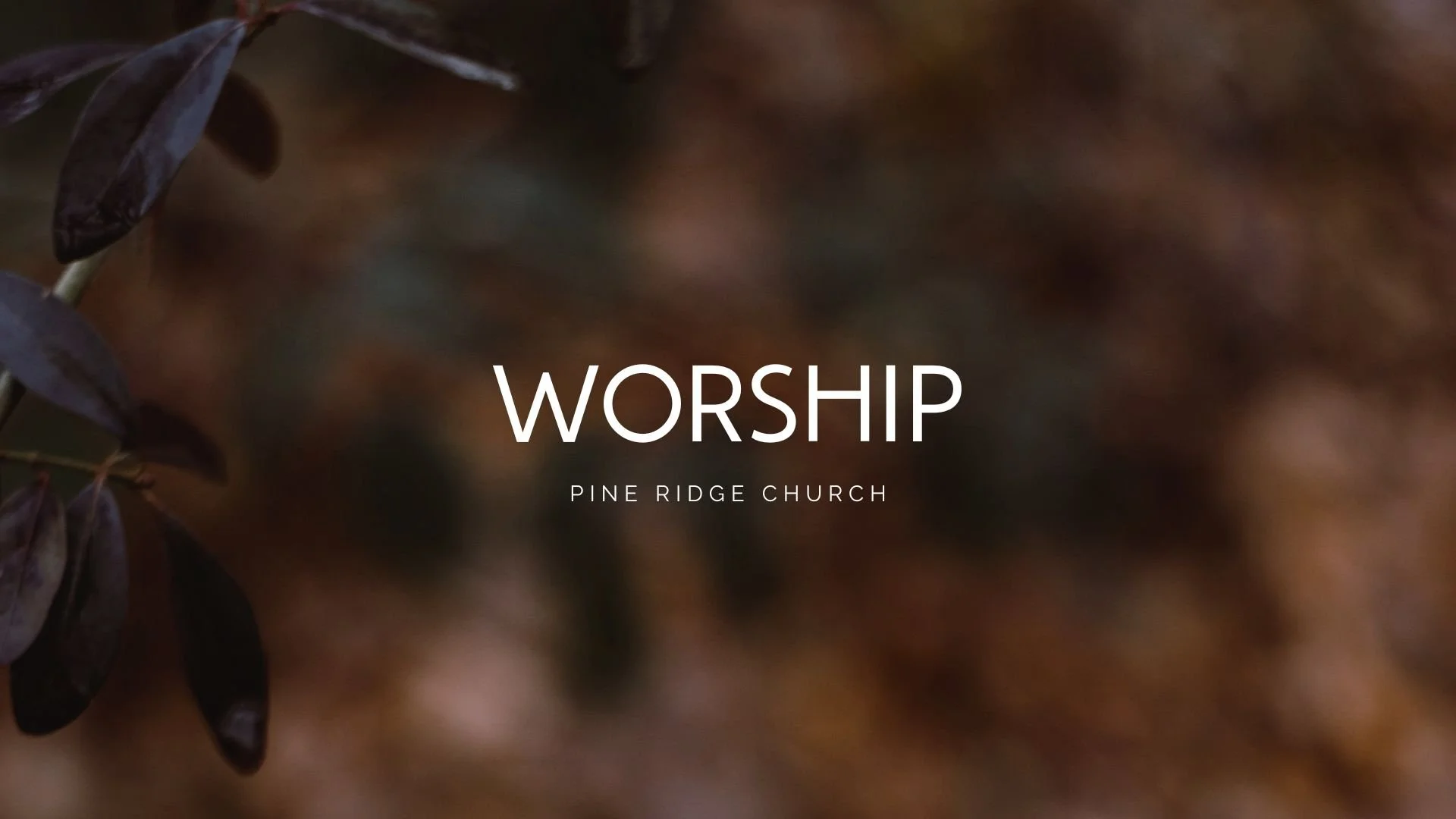 Pine Ridge Church PCA | Orlando, FL – Sermons-2022