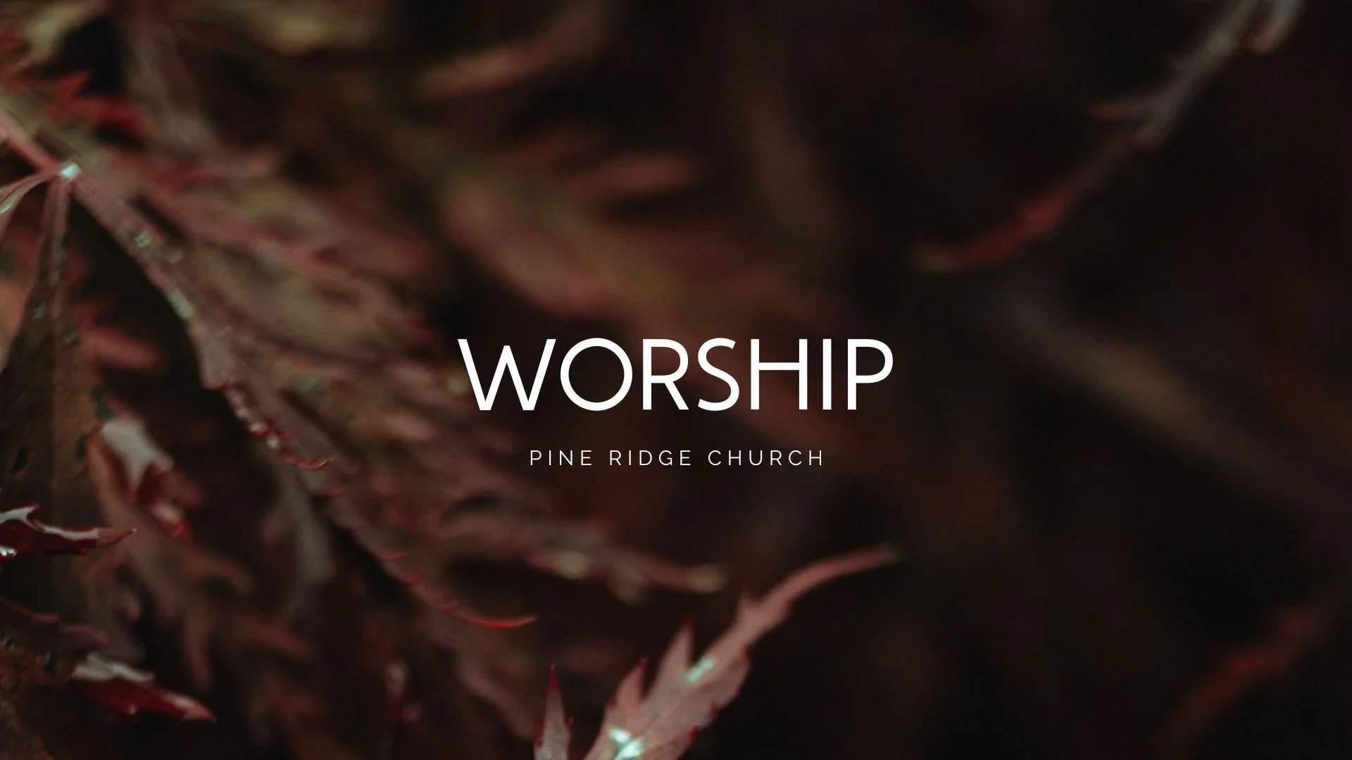 Pine Ridge Church PCA | Orlando, FL – Sermons