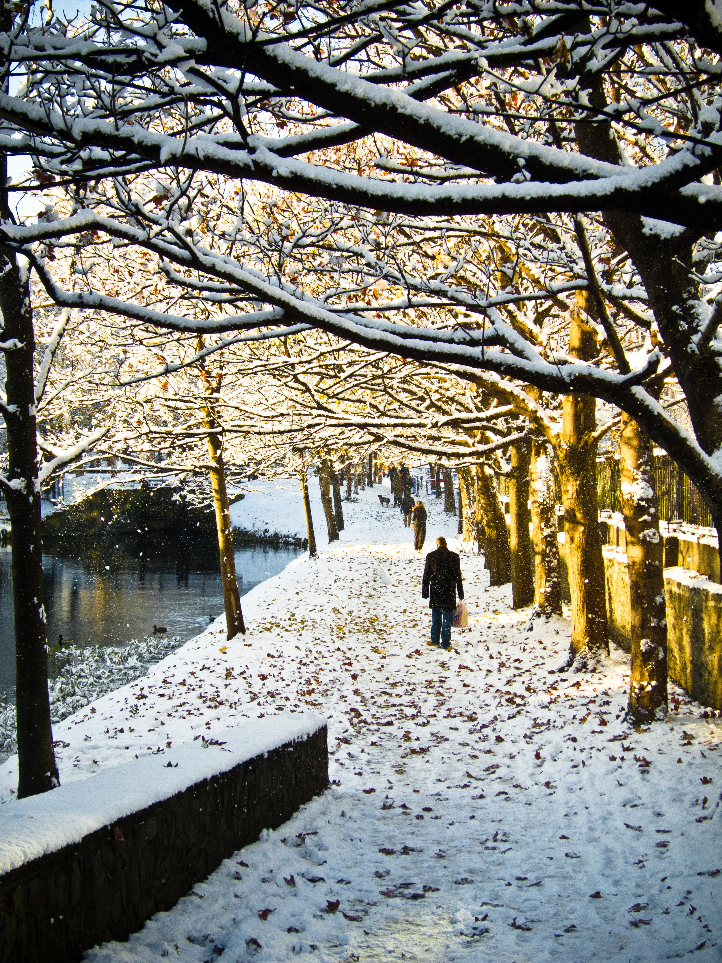 Walk in the Snow