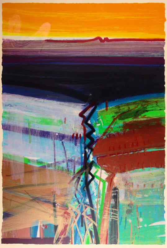 Print by Barbara Rae at the SO Fine Art Editions gallery, on South Anne Street