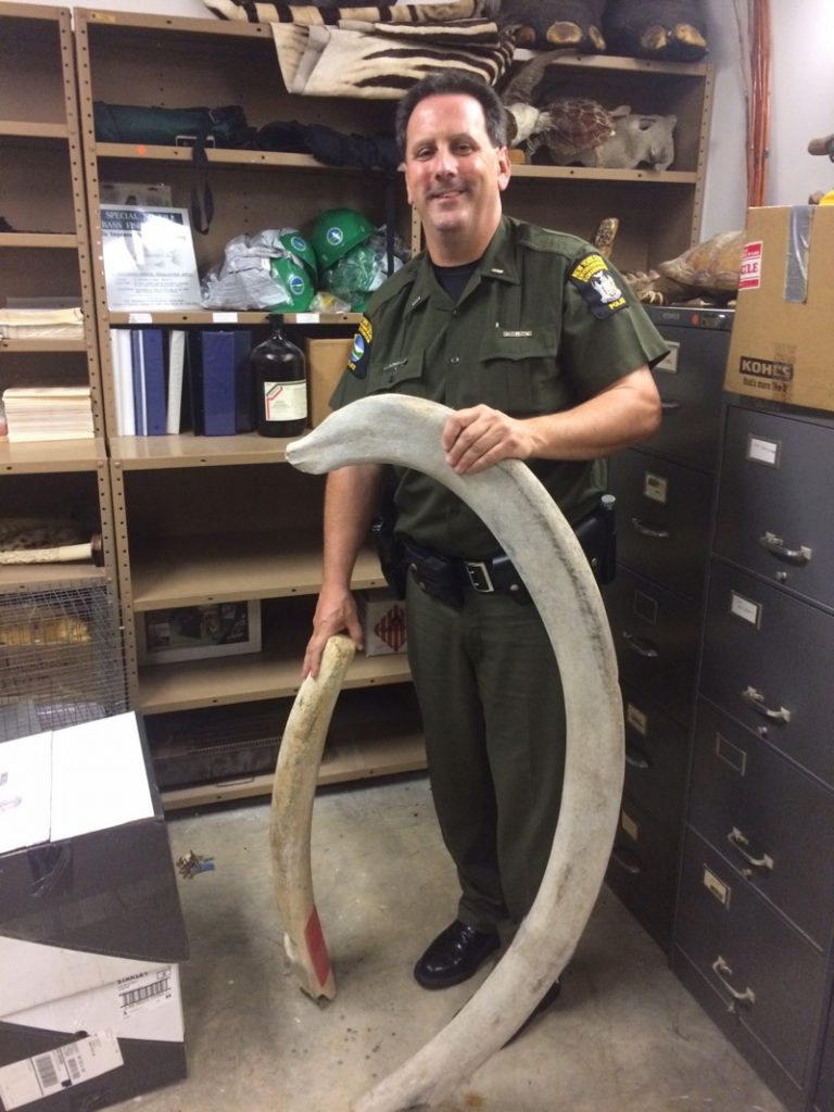 Environmental Conservation Police Lieutenant Sean Reilly poses with whalebones that his agency donated to the Sag Harbor Whaling Museum, which loaned them to the Long Island Welcome Center near Exit 51 off the LIE. Photo courtesy NYS Department of Environmental Conservation