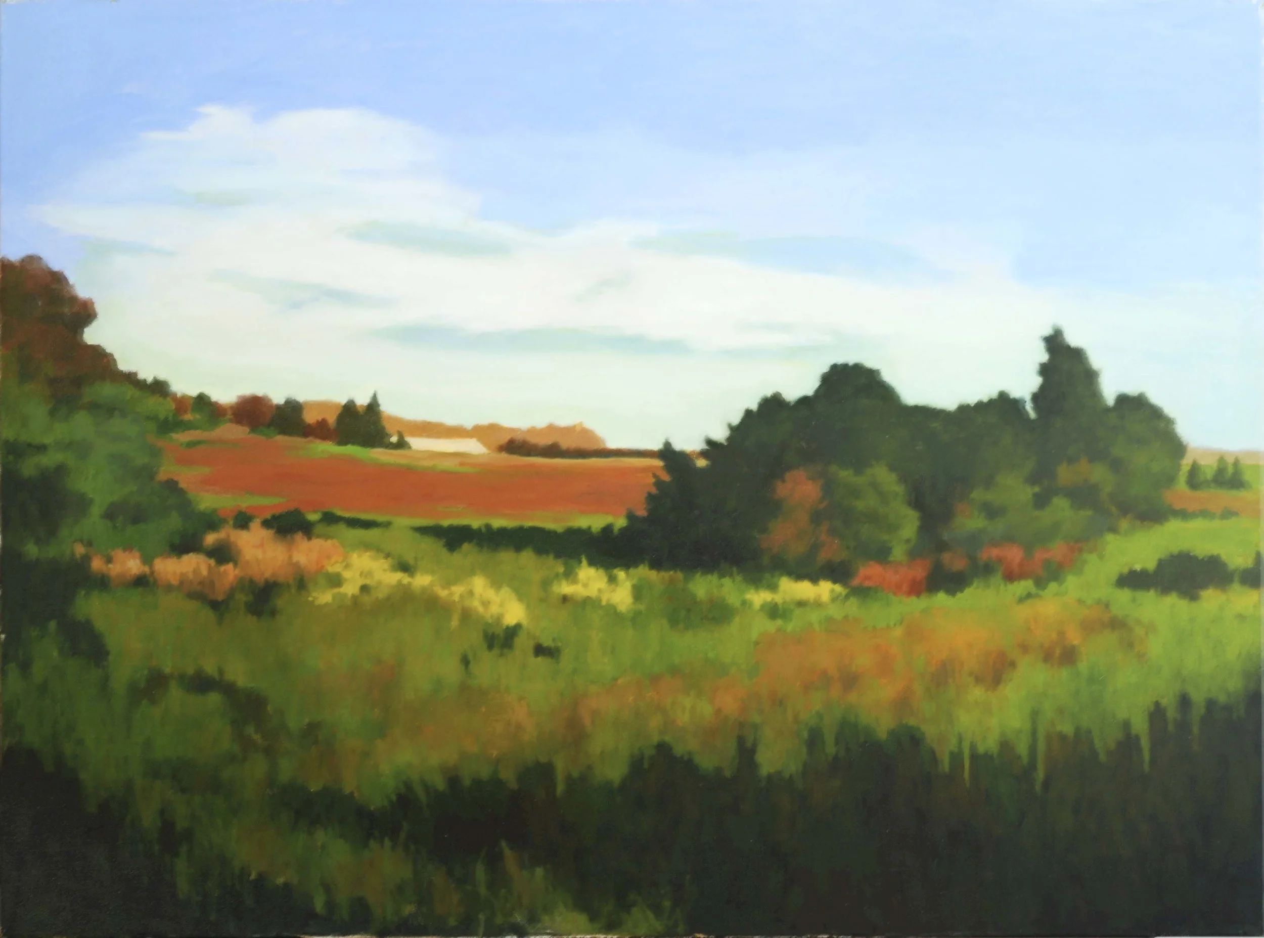 Miriam Dougenis , The Red Field , 2010, Oil on canvas, 30 x 40 inches