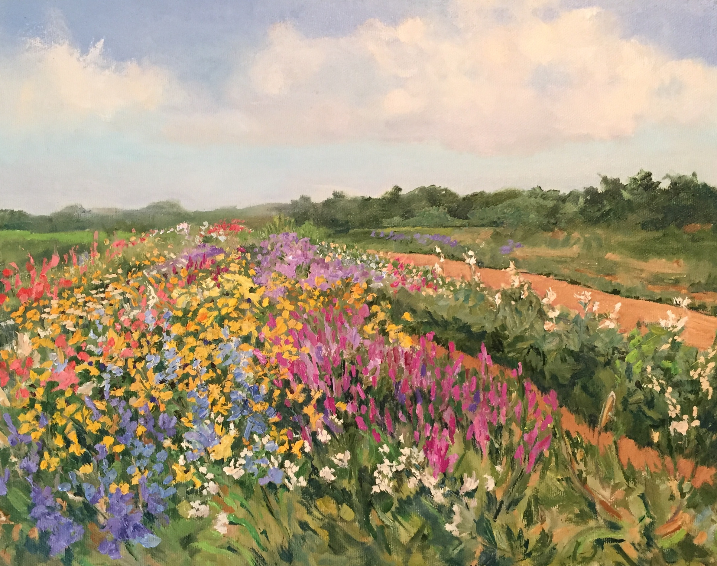 Casey Chalem Anderson “Balsam Flower Field”.