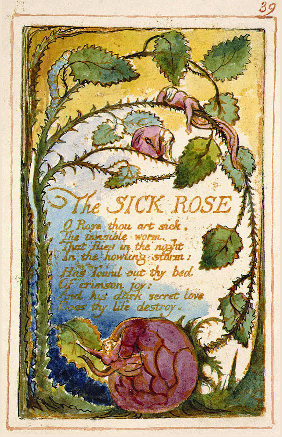 “The Sick Rose,” Songs of Innocence Poem and illustration by William Blake (via Wikimedia Commons )