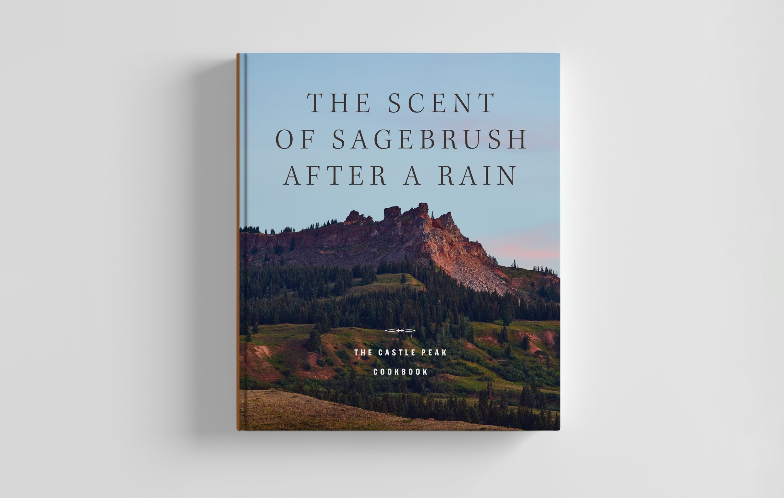 CastlePeak_cover_rendering.jpg